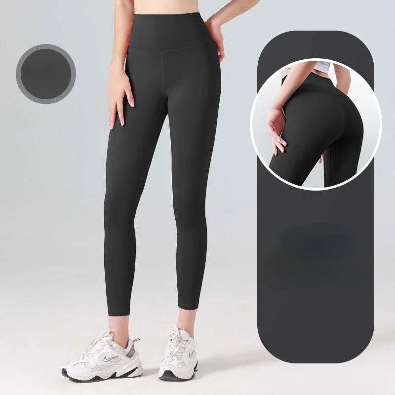 S25f8801caaa74a95a3e4d1d783526d07X